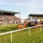 Haven 4* Tramore