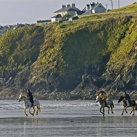 Nocleg ze śniadaniem Haven Tramore