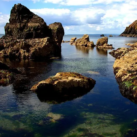 Haven Nocleg ze śniadaniem 4*