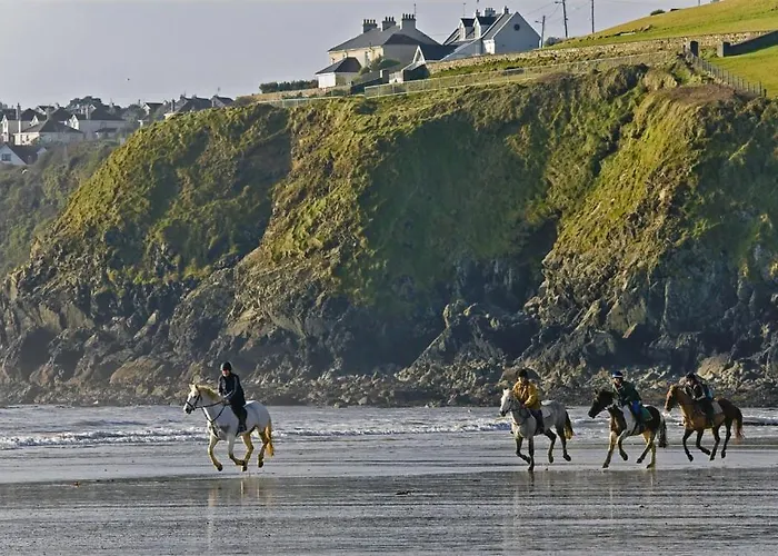 Bed & Breakfast Haven Tramore